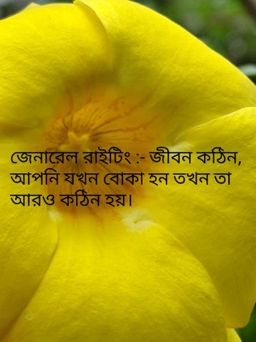 IMG_7373.jpeg