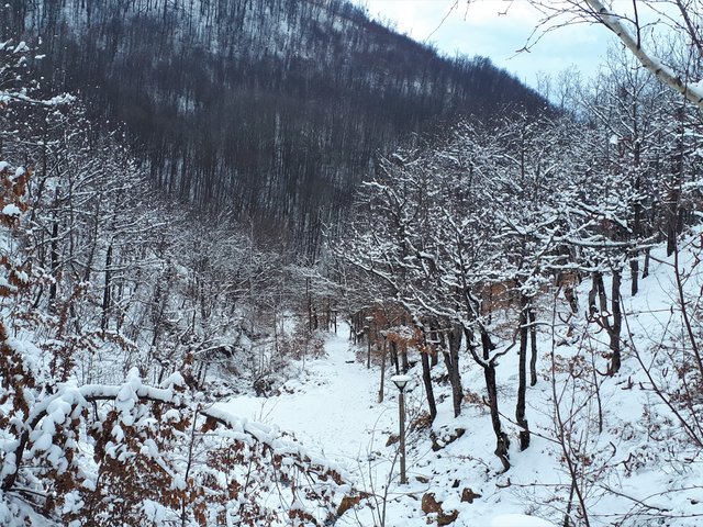 20190213_131000.jpg