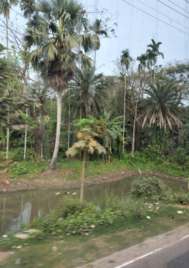 20250228_100628.jpg