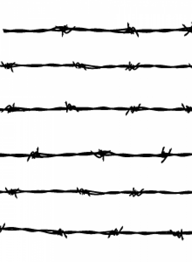 kisspng-barbed-wire-fence-barbed-tape-clip-art-barbwire-5ab619cb4bc473.8280627515218835953104.png