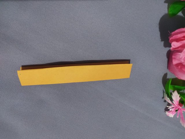 1000015679.jpg