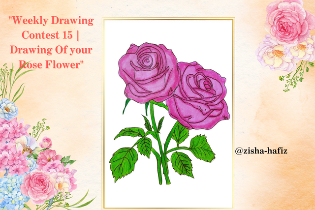 Weekly Drawing Contest 15  Drawing Of your Rose Flower by @zisha-hafiz.png