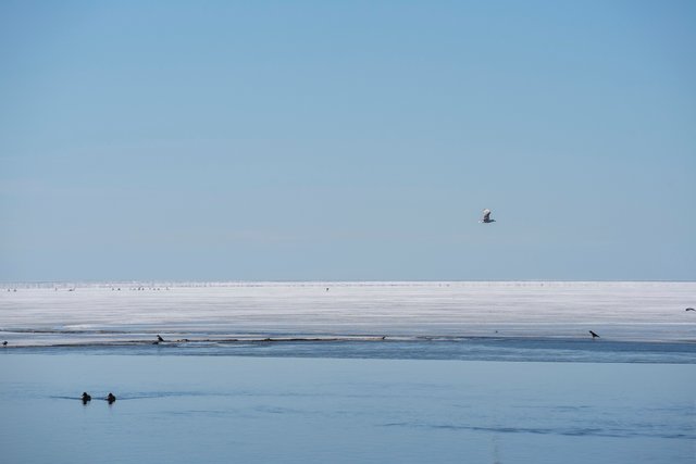 DSC09977.jpg