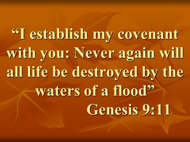 God and Noah. I establish my covenant with you. Never again will all life be destroyed by the waters of a flood. Genesis 9,11.jpg