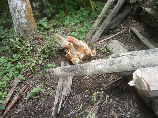 IMG20250320111419.jpg