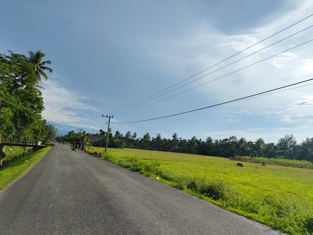 1000027719.jpg