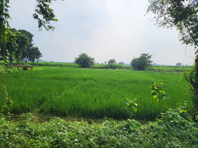 20250809_151839.jpg