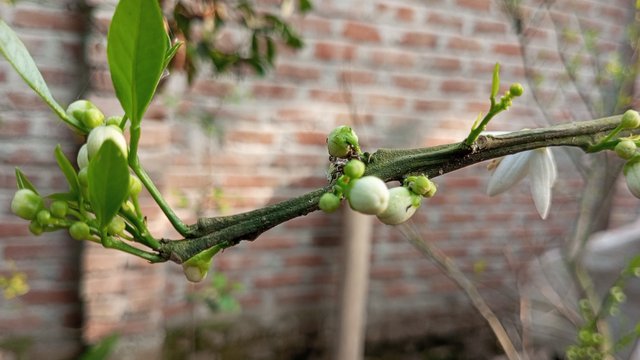 IMG_20240221_081105_1.jpg