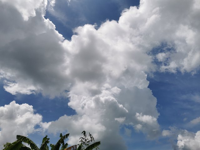 IMG_20240831_130933.jpg