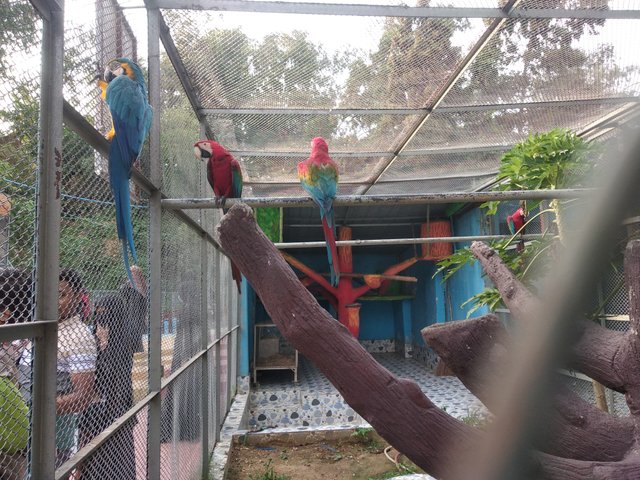 IMG_20250517_171029.jpg