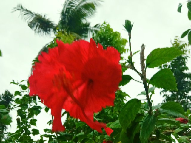 IMG_20251006_194303.jpg