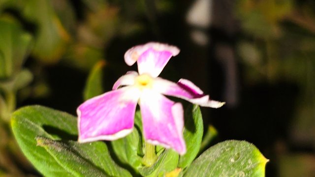 20250706_021836.jpg