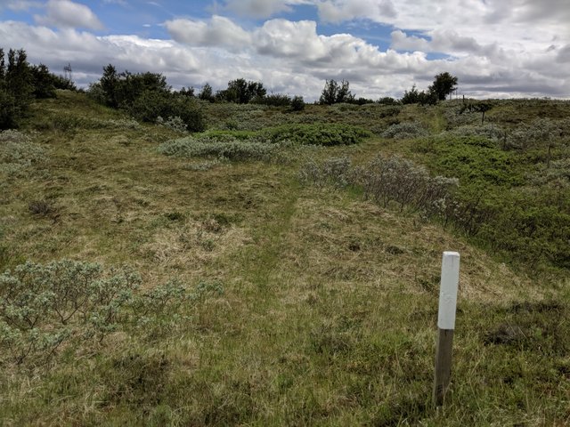 trail marker
