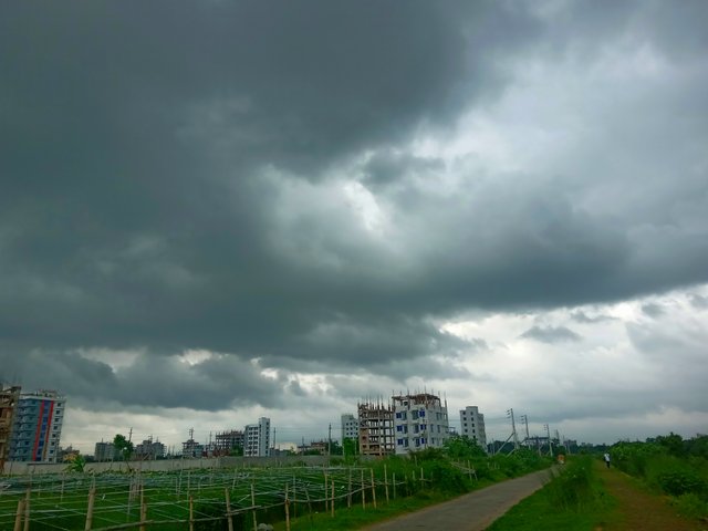 20250617_122650.jpg