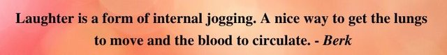 27a laughter.jpg