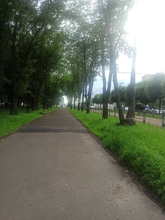 IMG_20250612_175453.jpg