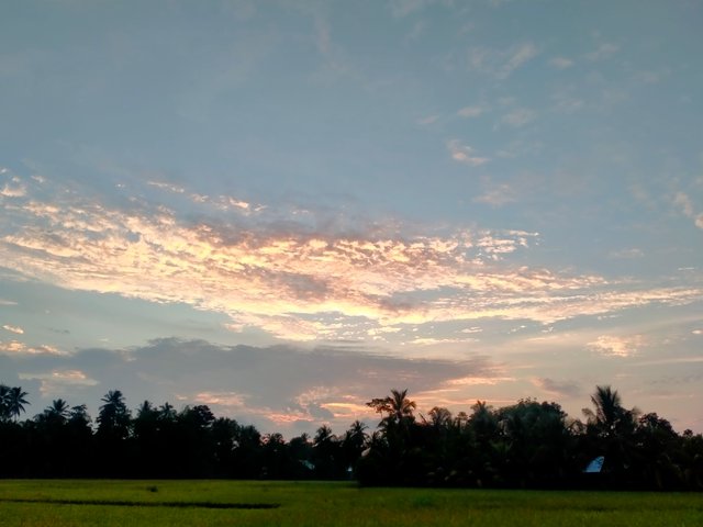 IMG20210917182522.jpg