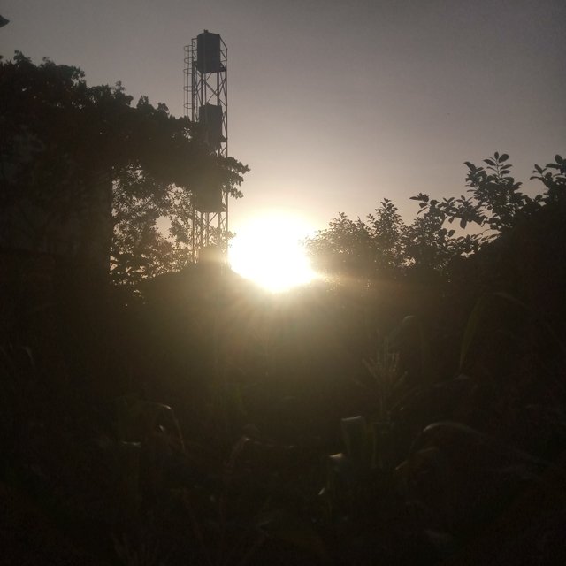 IMG_20250530_182301_2.jpg