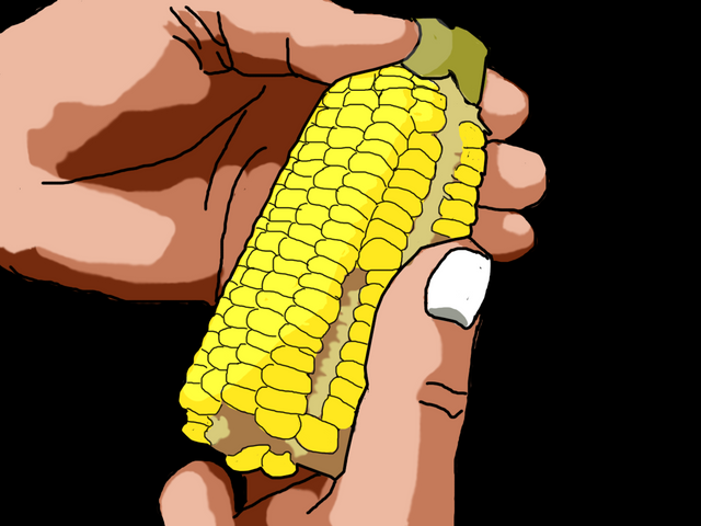 corn entry.png