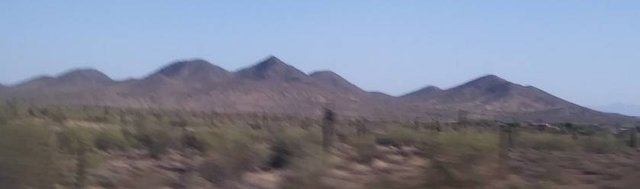 Sonoran Desert, Phoenix 1.jpg