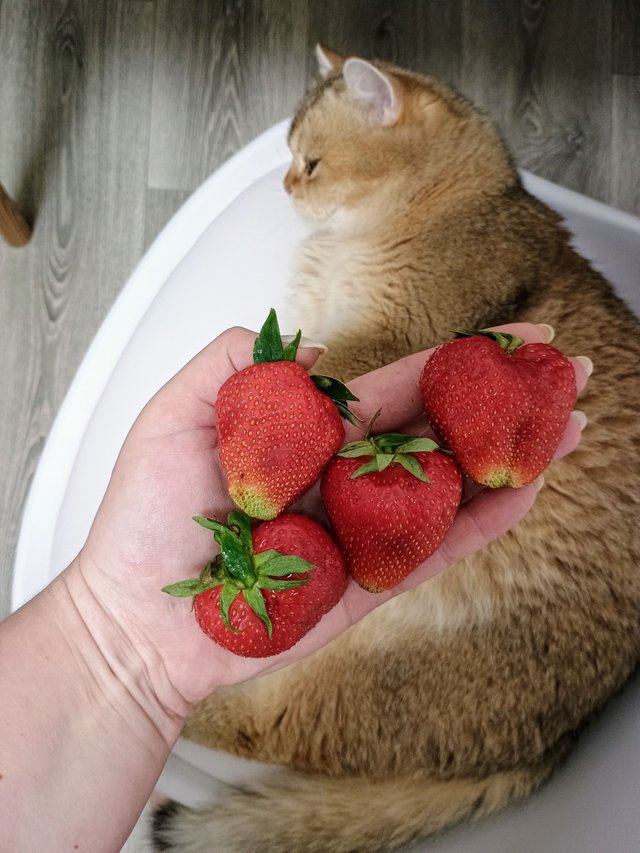 1000001203.jpg