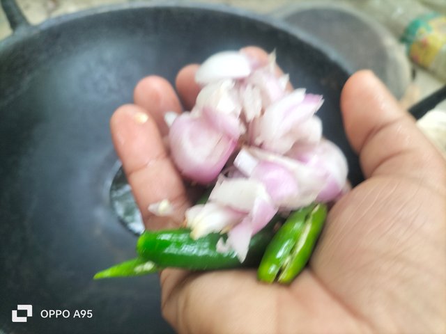 IMG20250501111145.jpg