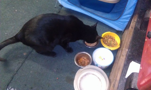 Garage (9) 5-29-14.jpg