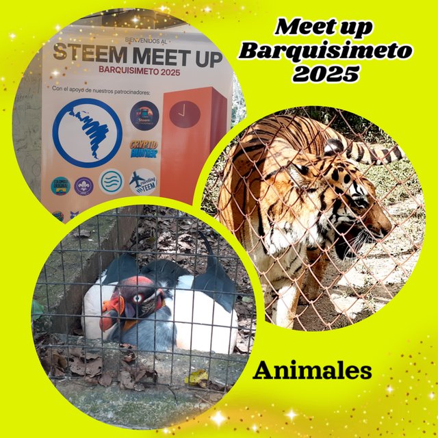 photocollage_20259811442278.jpg