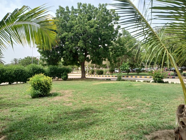 1000263319.jpg