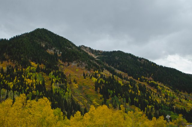 The changing leaves on the mountains.JPG