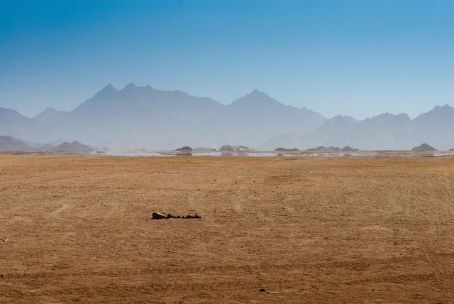 landscape-3126424_1920.jpg