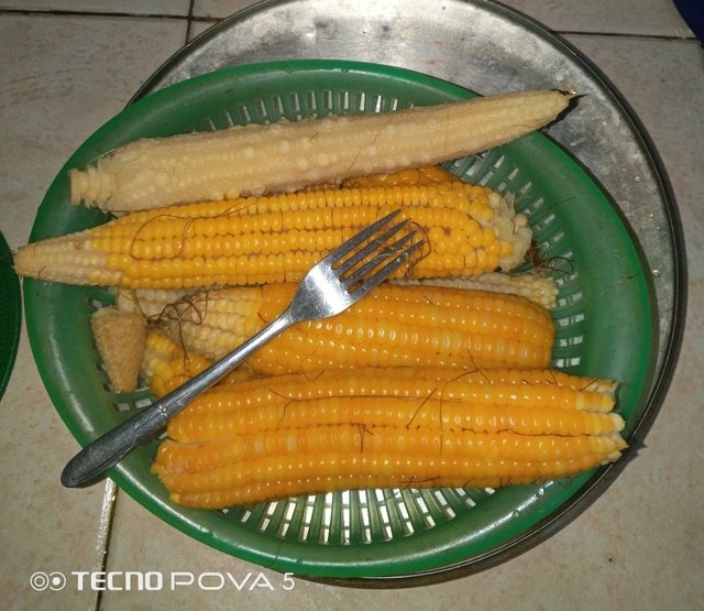 1000363180.jpg