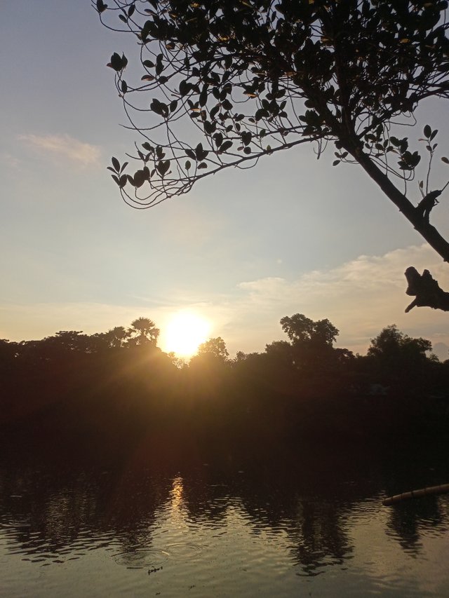 IMG20250816174925.jpg