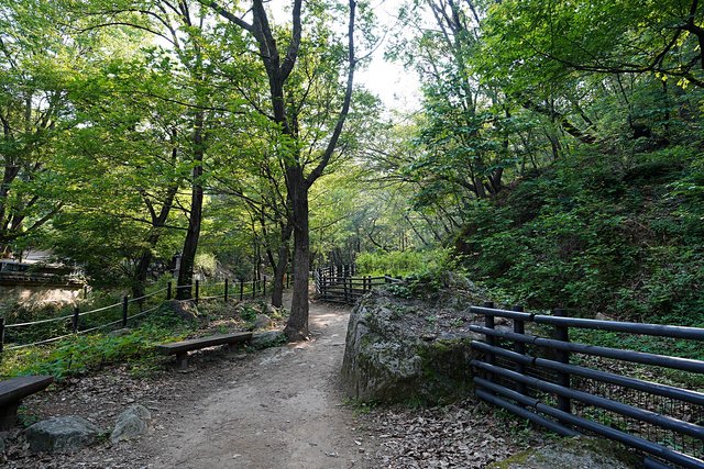 b-DSC01794.JPG