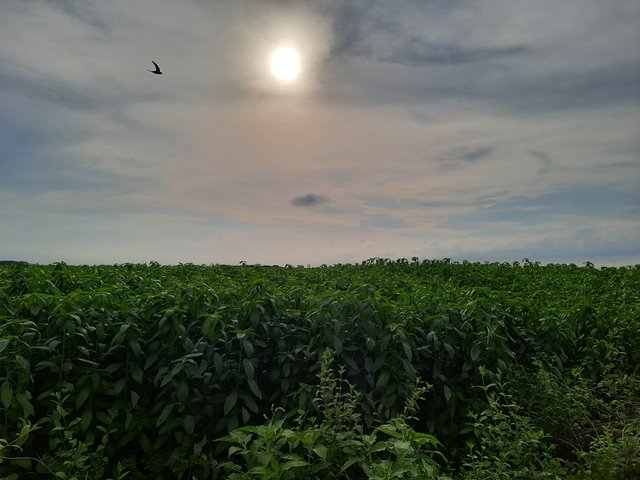20250530_162307.jpg