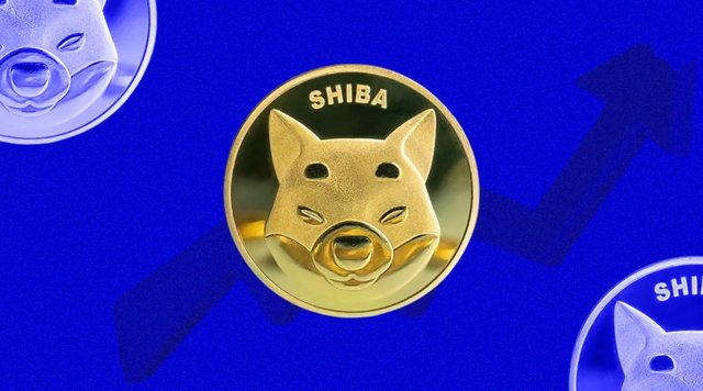 Shiba-Inu-1-1.jpg