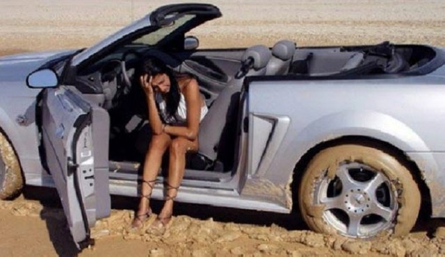 women-driver-dessert.jpg