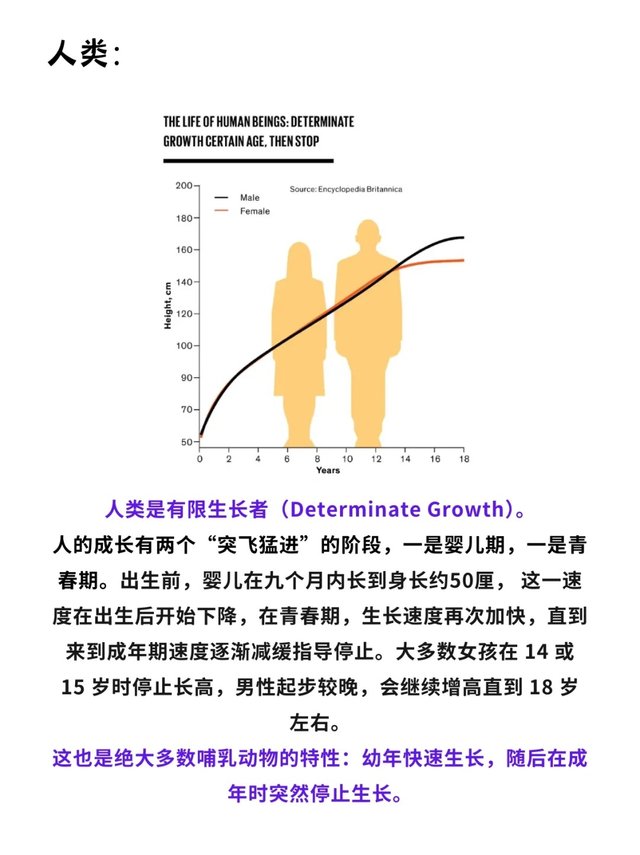 科普一分钟_你知道这些动物会“无限长大”吗❓_7.jpg