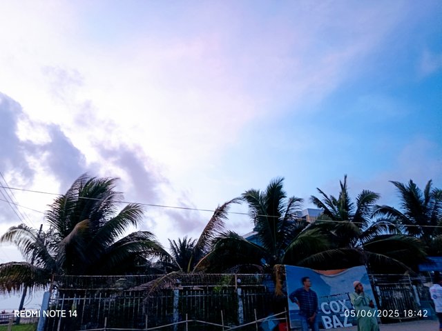 IMG_20250605_184256.jpg