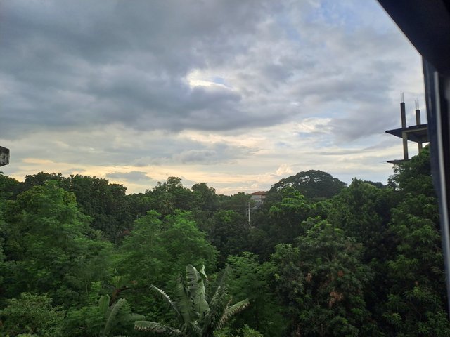 20250706_173419.jpg