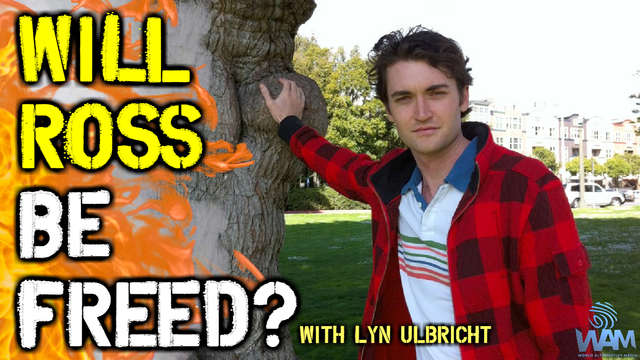 will ross ulbricht be freed lyn ulbricht breaks down the latest news thumbnail.png