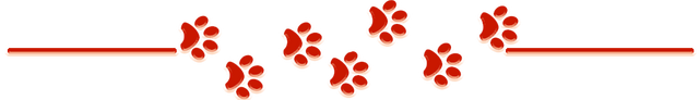 paws.png