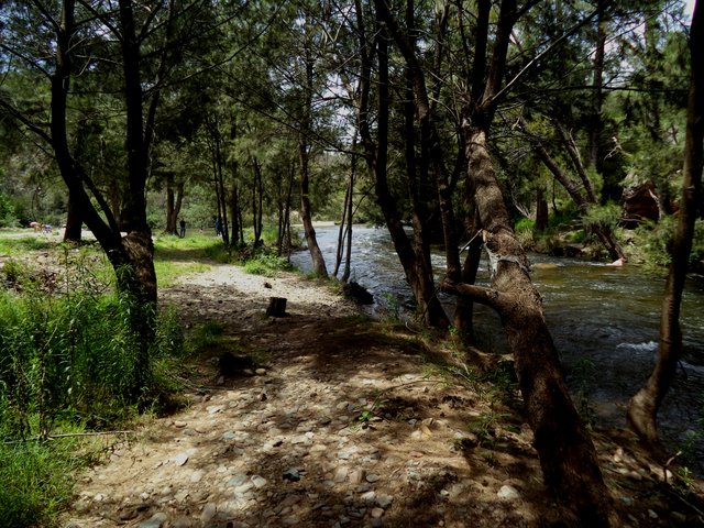 DSC01786.JPG