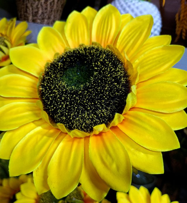 IMG20250612154016.jpg