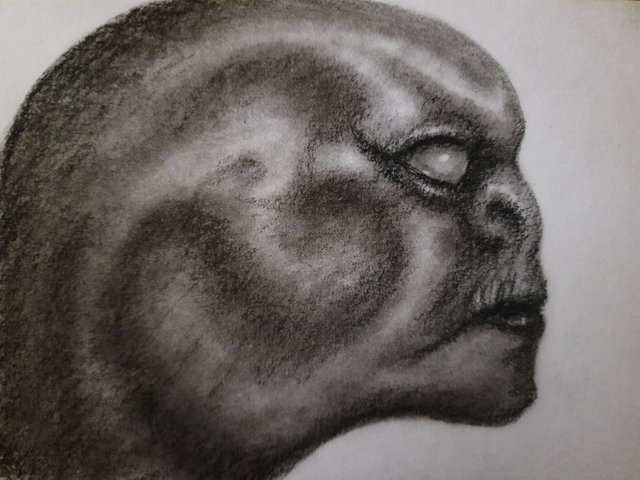 20250605_111940.jpg
