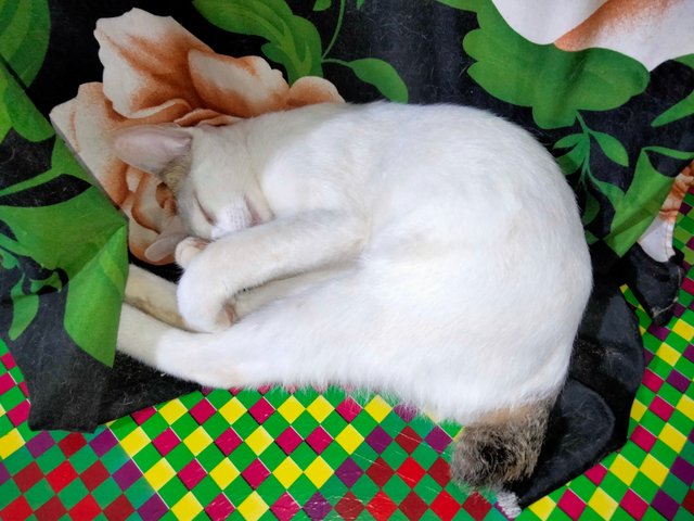 IMG20250912195516.jpg