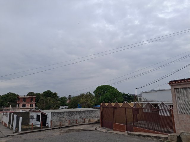 1000209053.jpg
