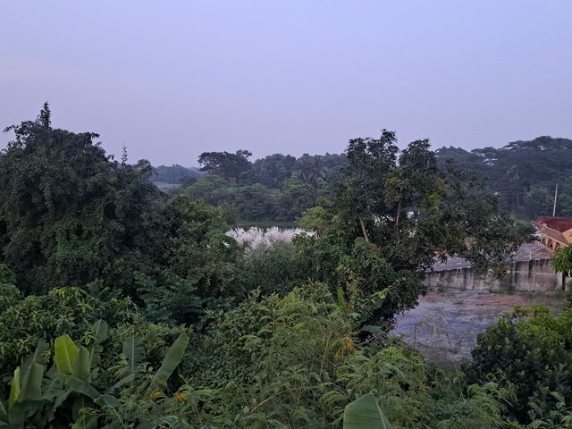 1000088883.jpg