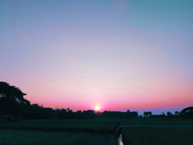 1000049653.jpg