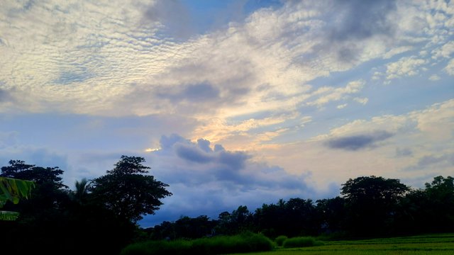 20250518_172632.jpg